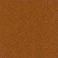 Delta 004 Vinyl Upholstery Fabric